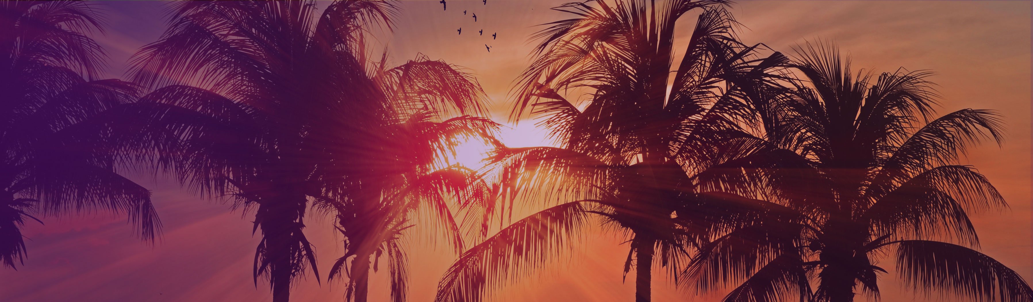 VS-EMPOWER2019-header