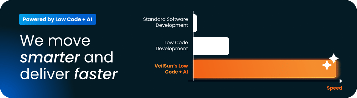 VeilSun AI Graphic-2 (1)
