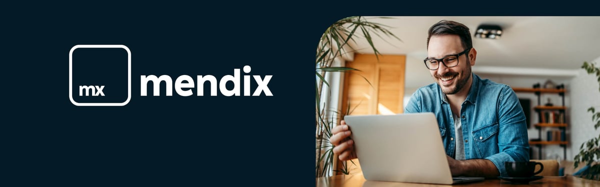 Mendix Ceo Top 17 Mendix Partners & Developers