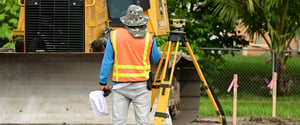 field images